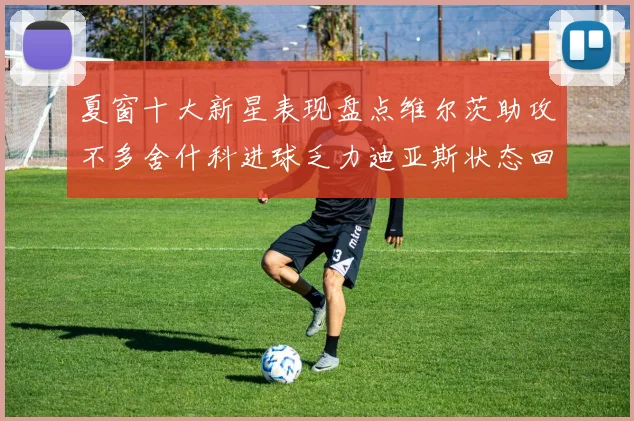 夏窗十大新星表现盘点维尔茨助攻不多舍什科进球乏力迪亚斯状态回暖